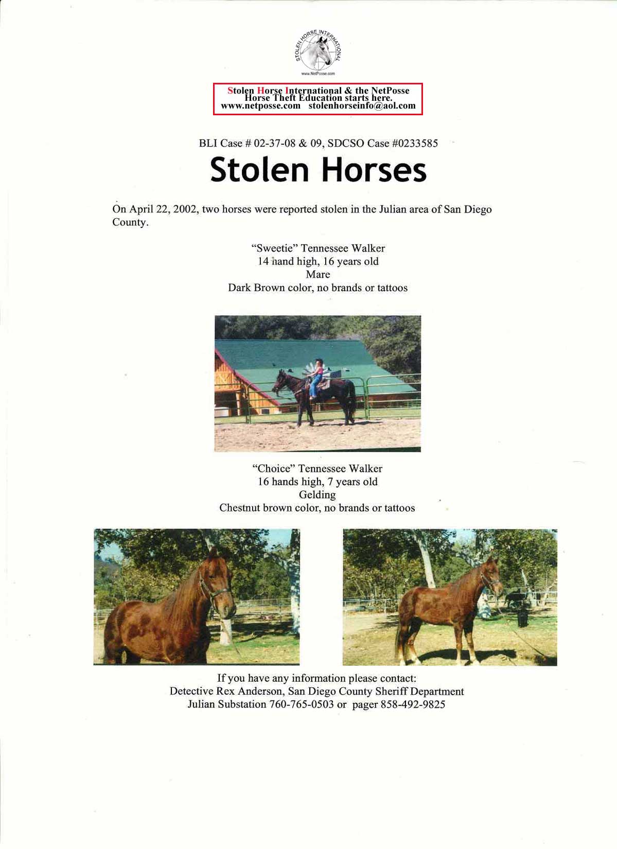 Click on Print to print flyer.  Click on flyer to go to SHI main page.