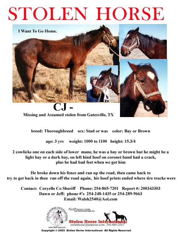 Click on Print button to print flyer.  Click on flyer to go to SHI home page.