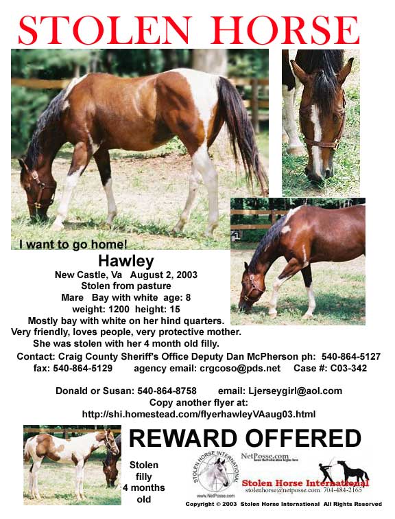 Click on print to print flyer. Click on flyer to go to SHI home page.