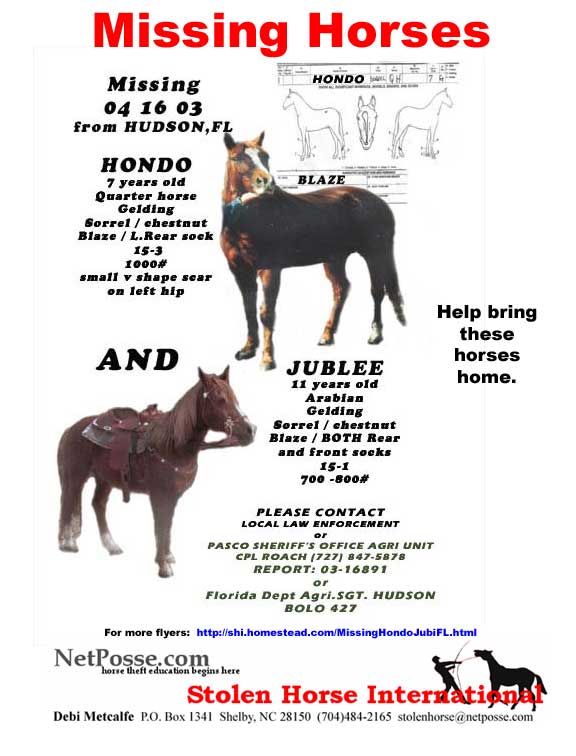 Click Print command to print flyer.  Click flyer to go to SHI main page.