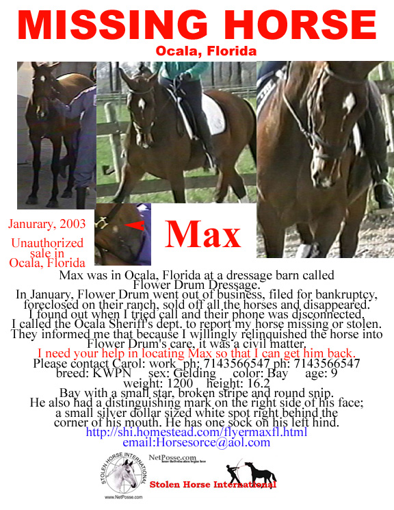 Click on Print to print flyer. Click on flyer to go to SHI main page.