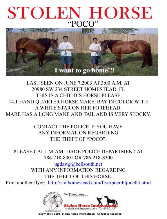 Click on Print button to print flyer. Click on flyer to go to SHI home page.