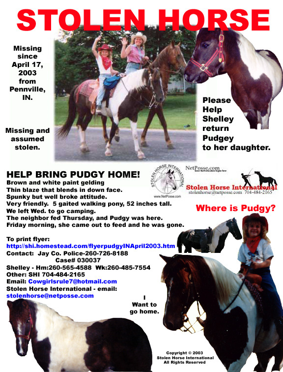 Click on Print to print flyer.  Click on flyer to go to SHI home page.