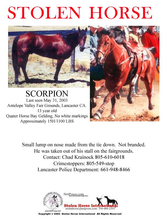 Click on Print to print flyer.  Click on flyer to go to SHI. Inc. main page.